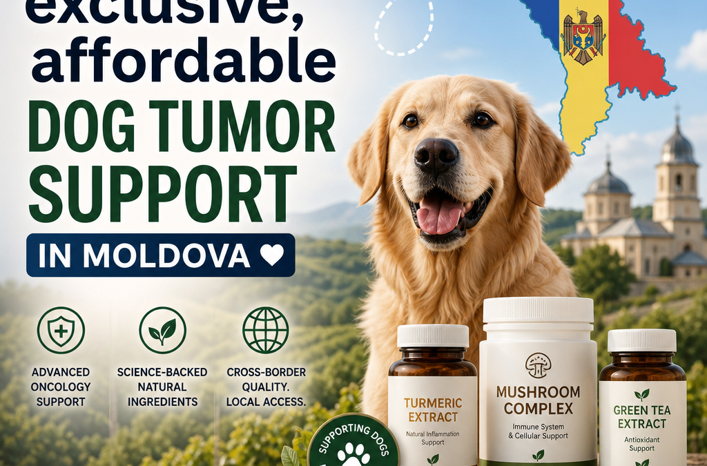 Oncologie transfrontalière / Produits de supplément : 7 choix intelligents et positifs pour le soutien aux tumeurs chez les chiens en Moldavie