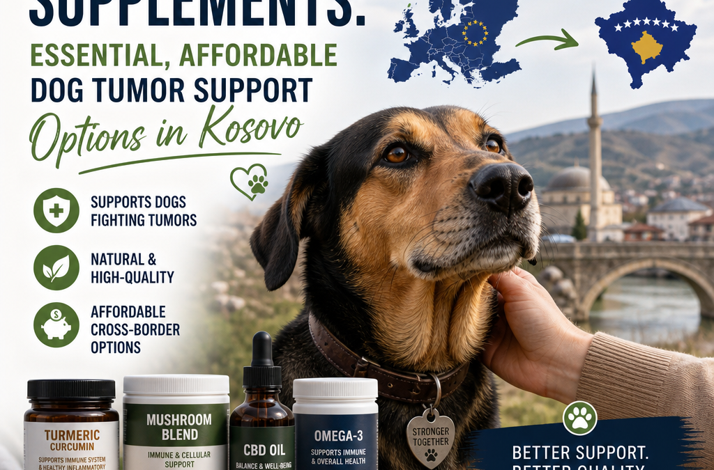 Compléments transfrontaliers : 7 options essentielles et abordables de soutien aux tumeurs chez les chiens au Kosovo