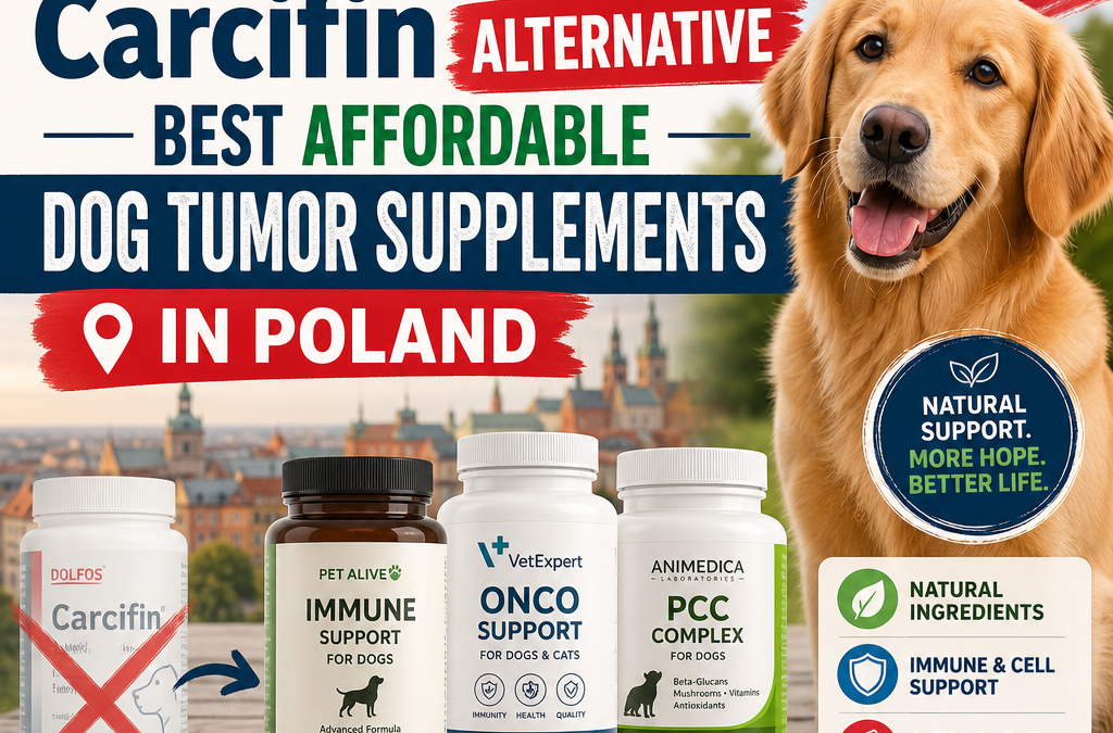 Dolfos Carcifin alternativa: 5 Melhores Suplementos Acessíveis para Tumores em Cães na Polônia