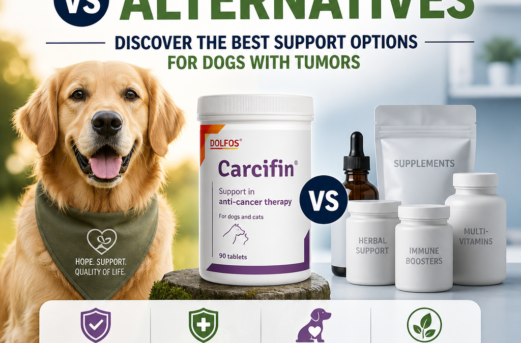 Illustration of Dolfos Carcifin vs alternatives: Discover the Best Support Options for Dogs With Tumors