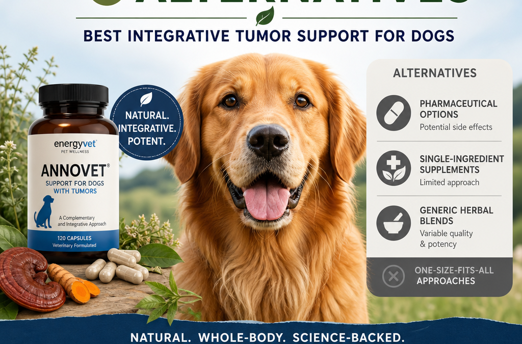 Energyvet Annovet vs Alternatives: 7 Best Integrative Tumor Support Options for Dogs