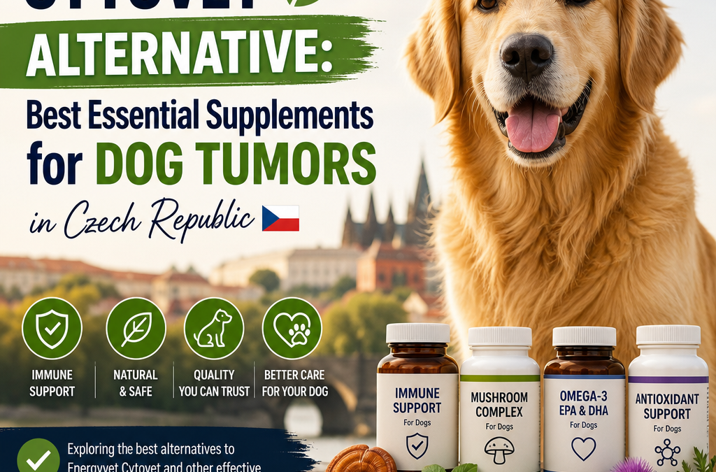 Illustration of Energyvet Cytovet alternative: Best Essential Supplements for Dog Tumors in Czech Republic