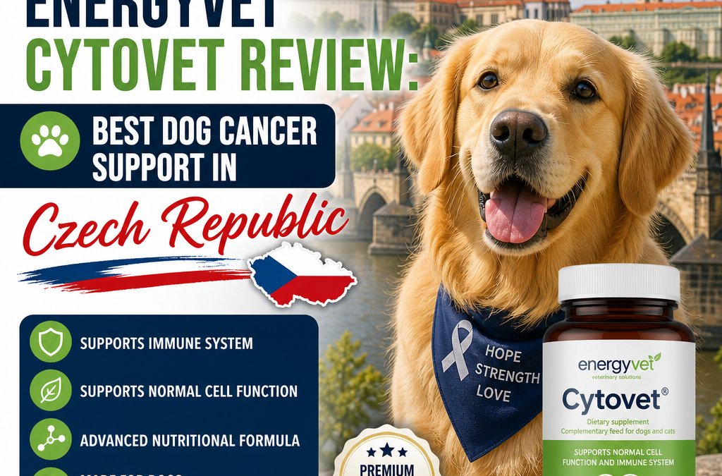 Energyvet Cytovet Review: 5 Key Positive and Powerful Things Czech Dog Owners Should Know