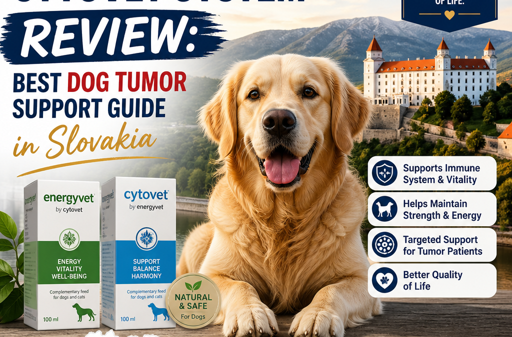 Sistema Energyvet / Cytovet: 7 Coisas que Donos de Cães na Eslováquia Devem Saber