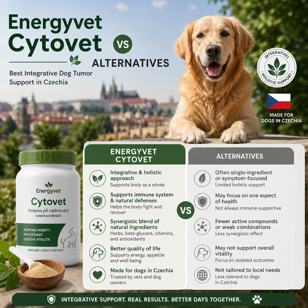 Energyvet Cytovet vs alternatives: 7 Best Integrative Dog Tumor Support Options in Czechia 1 Energyvet Cytovet vs alternatives illustration