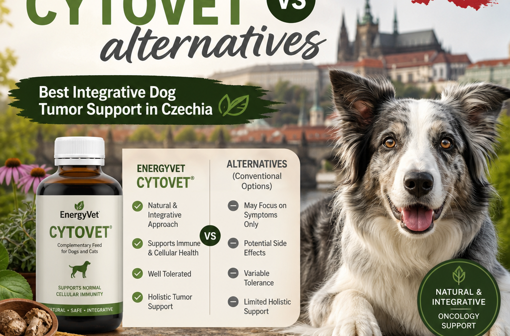 Energyvet Cytovet vs alternatives: 7 Best Integrative Dog Tumor Support Options in Czechia