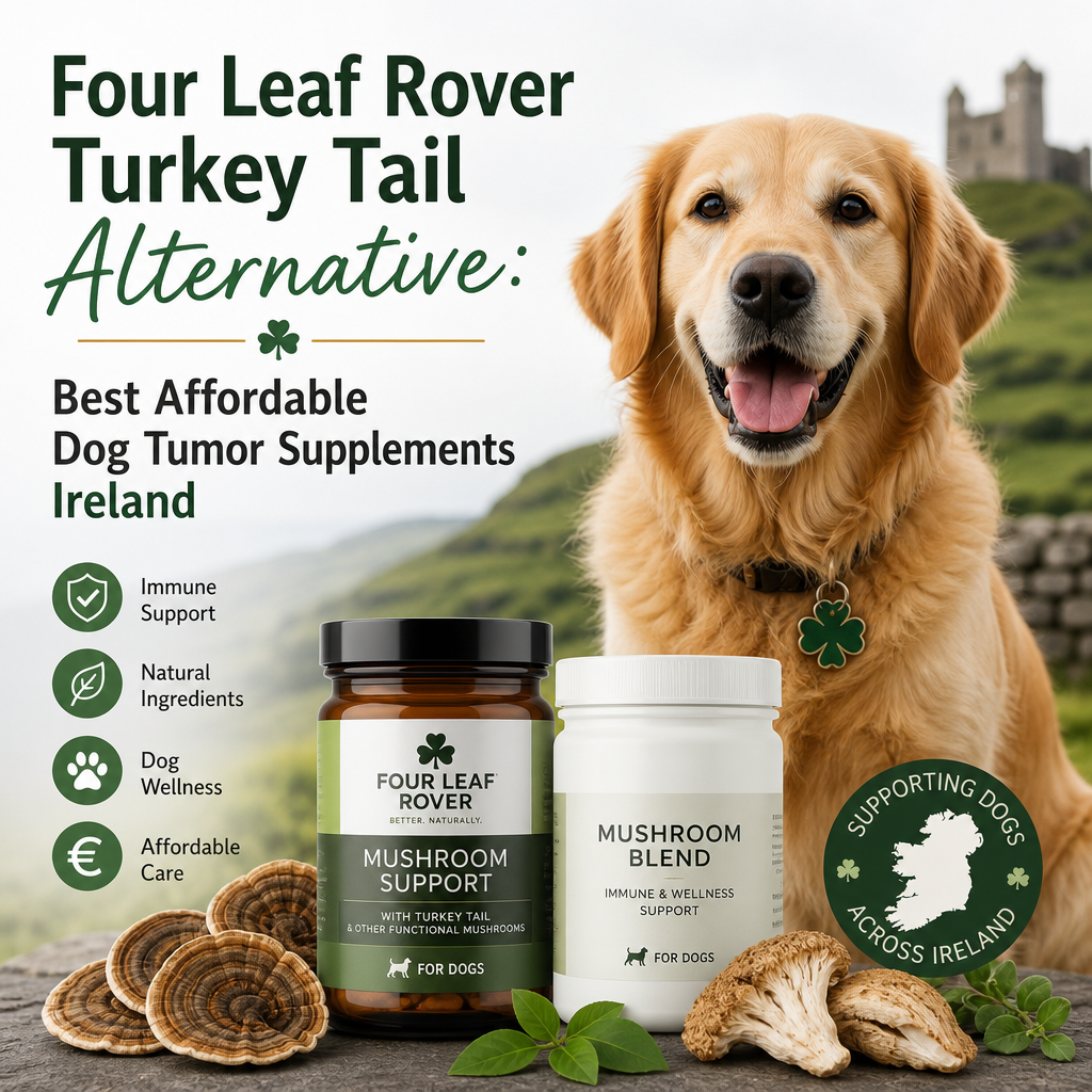 Four Leaf Rover Turkey Tail alternative: 5 Best Affordable Dog Tumor Supplements Ireland 3 Four Leaf Rover Turkey Tail alternative illustration