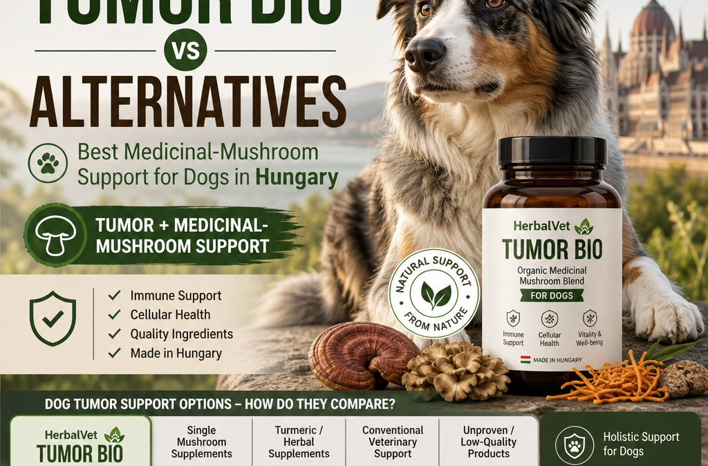 HerbalVet Tumor Bio vs alternatives: 7 Best Medicinal-Mushroom Support Options for Dogs in Hungary