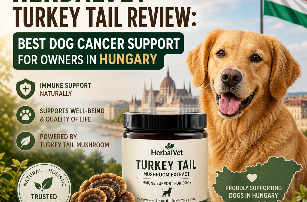 HerbalVet Turkey Tail 5 Reasons Owners in Hungary Should Know Before Choosing