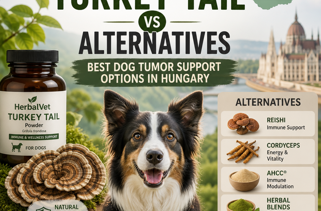 HerbalVet Turkey Tail vs Alternatives: 7 Best Dog Tumor Support Options in Hungary