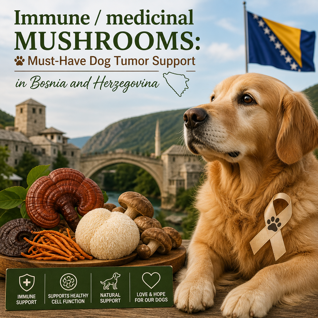Immune / medicinal mushrooms illustration
