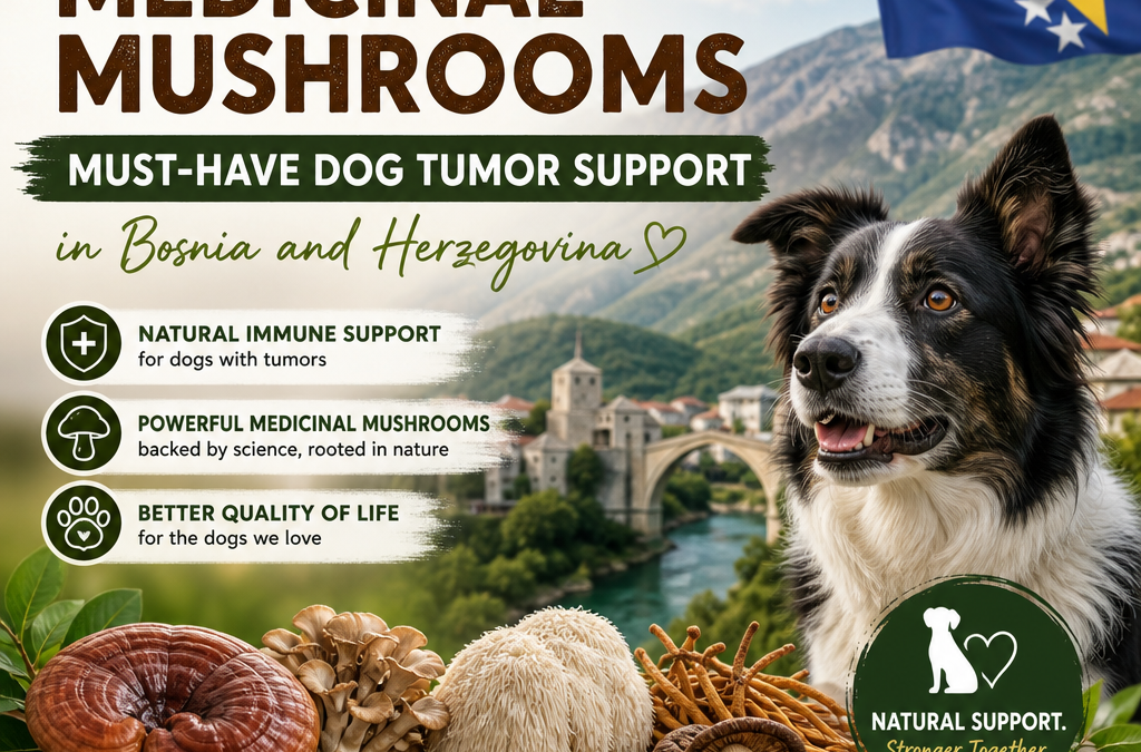 Immune / medicinal mushrooms: 7 Powerful Dog Tumor Support Tips in Bosnia and Herzegovina