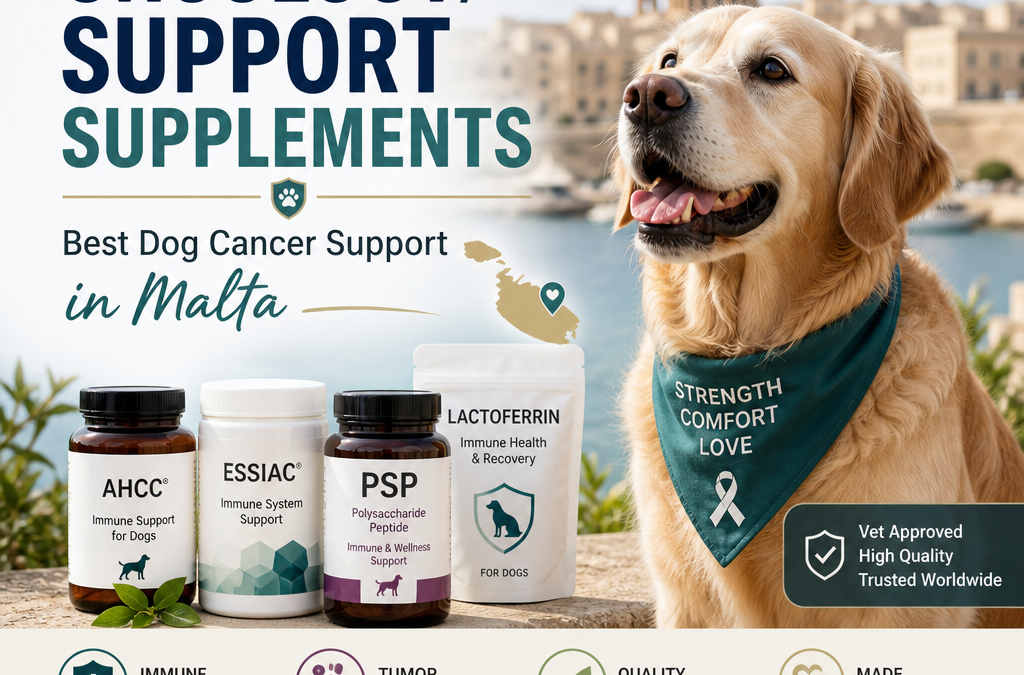Suppléments d'oncologie/soutien importés : 5 meilleurs conseils de soutien pour le cancer chez les chiens à Malte