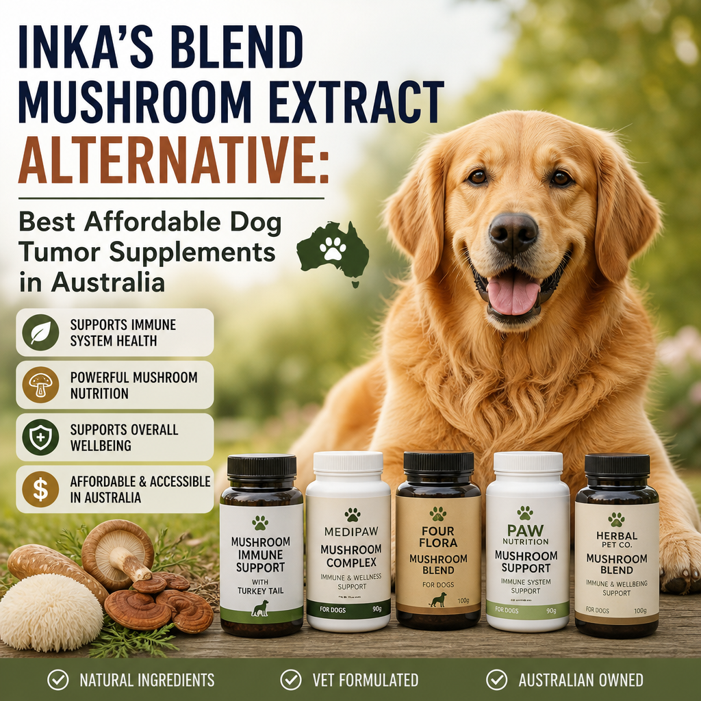 Inka's Blend Mushroom Extract alternative: 7 Best Affordable Dog Tumor Supplements in Australia 5 Inka's Blend Mushroom Extract alternative illustration