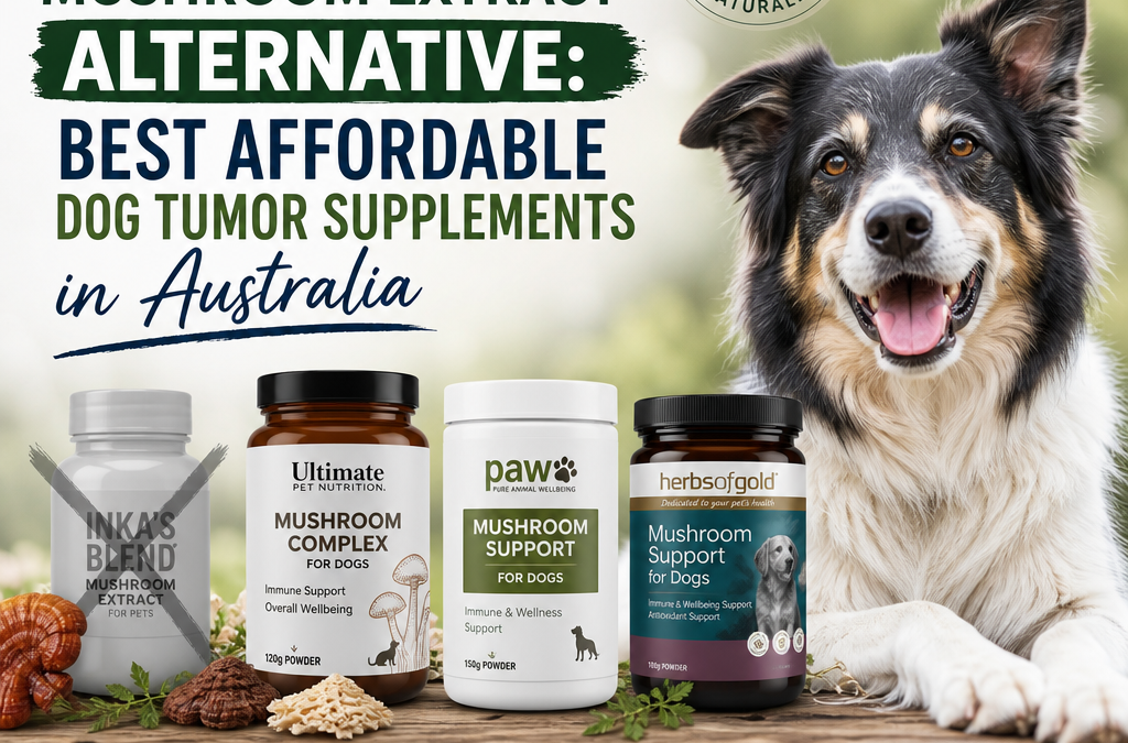 Inka’s Blend Mushroom Extract alternative: 7 Best Affordable Dog Tumor Supplements in Australia