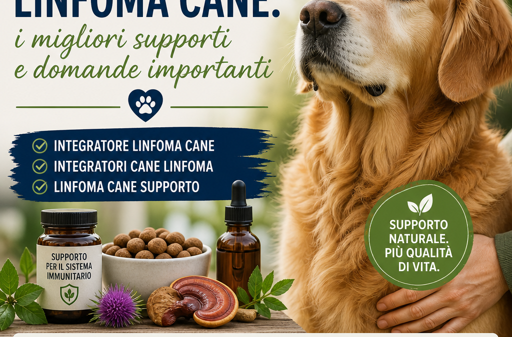 Suplemento linfoma cão: 7 apoios úteis, guia positiva e segura