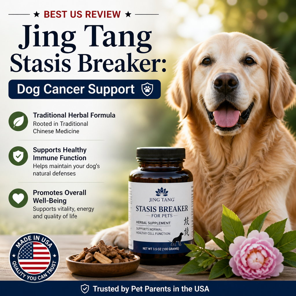 Jing Tang Stasis Breaker: 7 Best US Review Tips for Dog Cancer Support 1 Jing Tang Stasis Breaker illustration