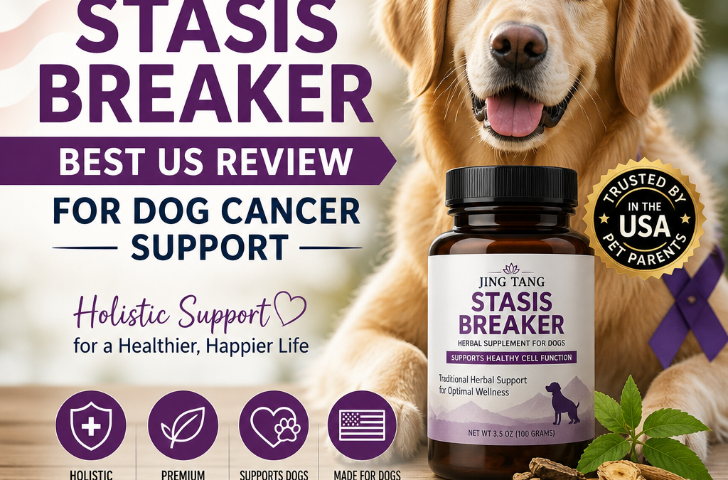 Jing Tang Stasis Breaker: 7 Best US Review Tips for Dog Cancer Support