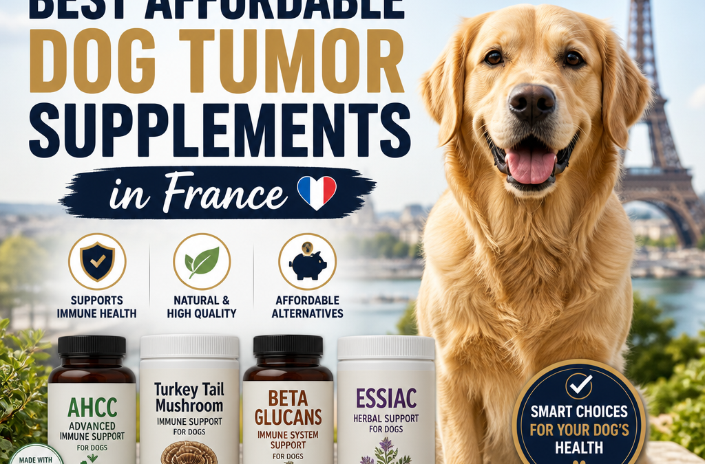 K9 Immunity Alternative: Best Affordable Dog Tumor Supplements in France