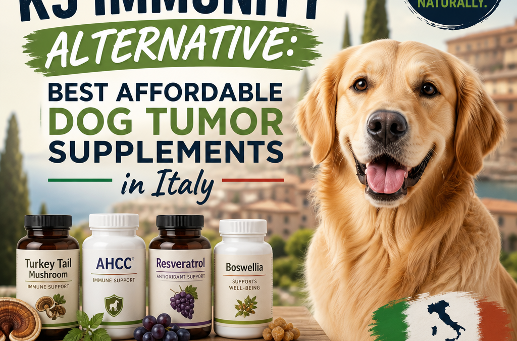K9 Immunity Alternative: Best Affordable Dog Tumor Supplements in Italy