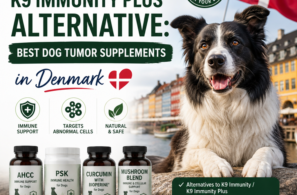 Illustration of K9 Immunity / K9 Immunity Plus Alternative: Best Dog Tumor Supplements in Denmark