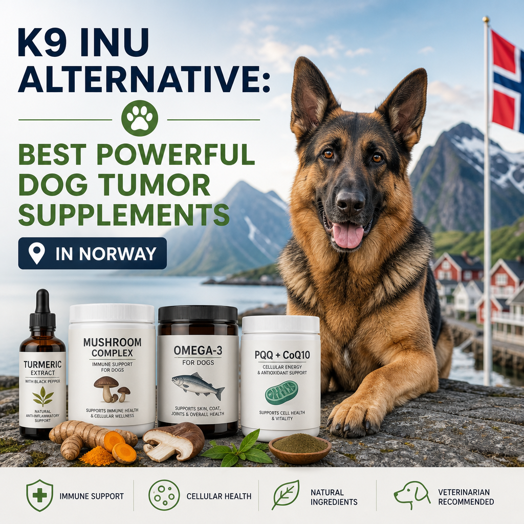 K9 INU Alternative: 7 Powerful Dog Tumor Supplement Options in Norway 6 K9 INU alternative illustration