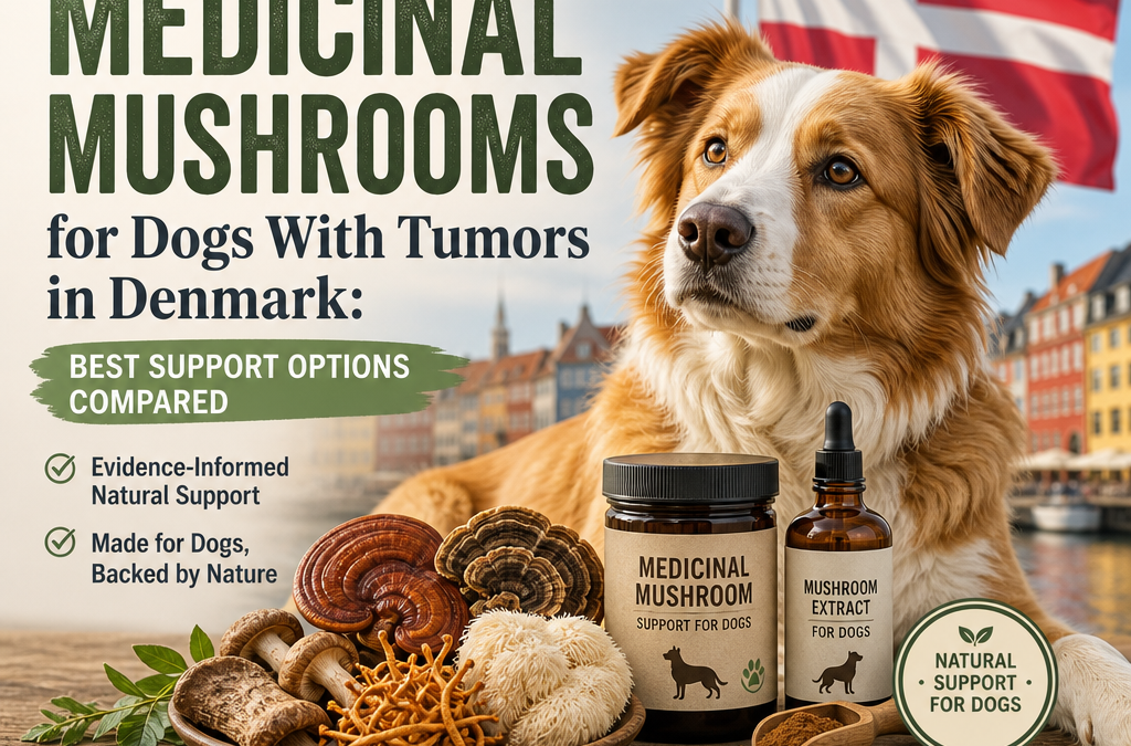 Illustration of Medicinal Mushrooms for Dogs With Tumors in Denmark: Best Support Options Compared