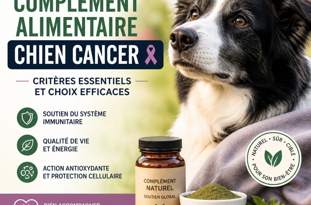 Meilleur complément alimentaire chien cancer : 7 choix efficaces et rassurants