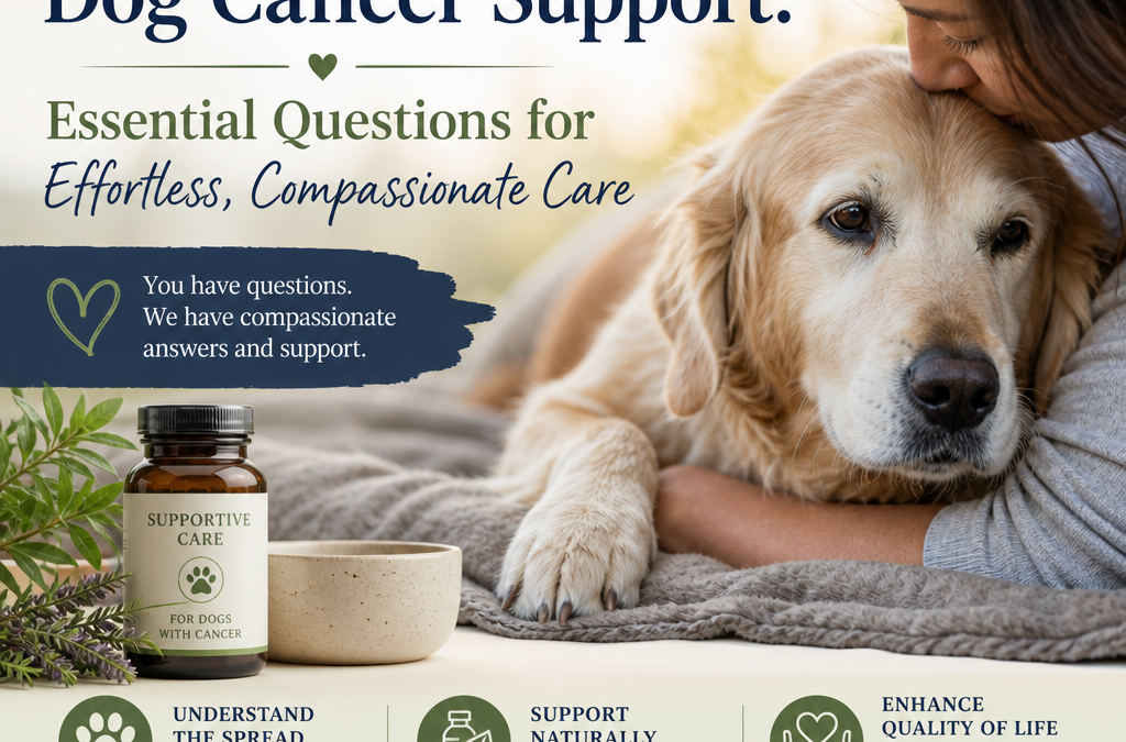 Metastatic Dog Cancer Support: 7 Essential, Compassionate Care Questions