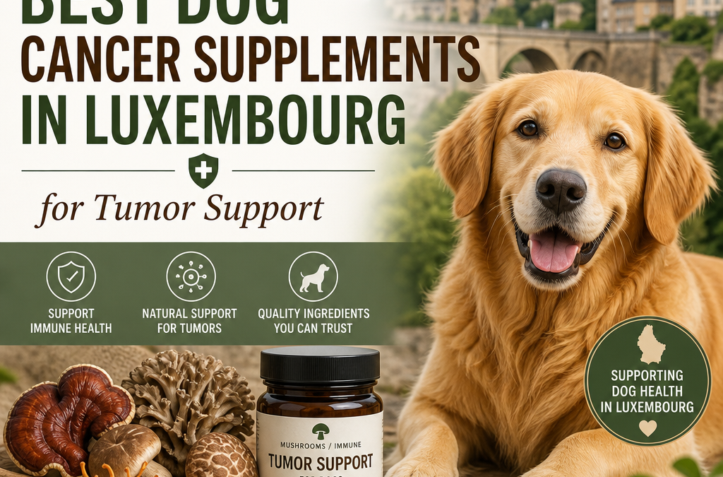 Mushrooms / immune: 7 Best Dog Cancer Supplements in Luxembourg for Tumor Support