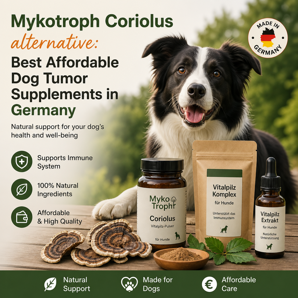 Mykotroph Coriolus alternative: 5 Best Affordable Dog Tumor Supplements in Germany 5 Mykotroph Coriolus alternative illustration