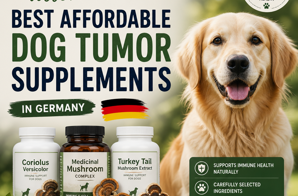 Mykotroph Coriolus alternative: 5 Best Affordable Dog Tumor Supplements in Germany