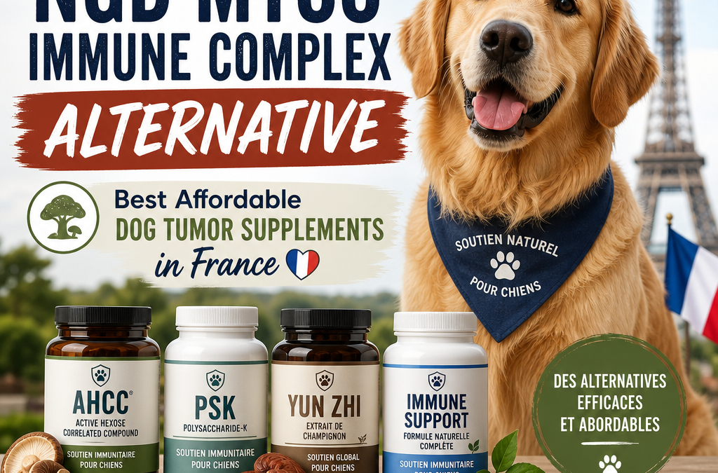 Alternativa ao NGD Myco Immune Complex: 7 Melhores Suplementos Acessíveis para Tumores em Cães na França