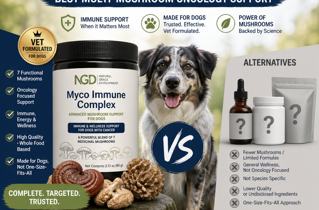Illustration of NGD Myco Immune Complex vs Alternatives: Best Multi-Mushroom Oncology Support