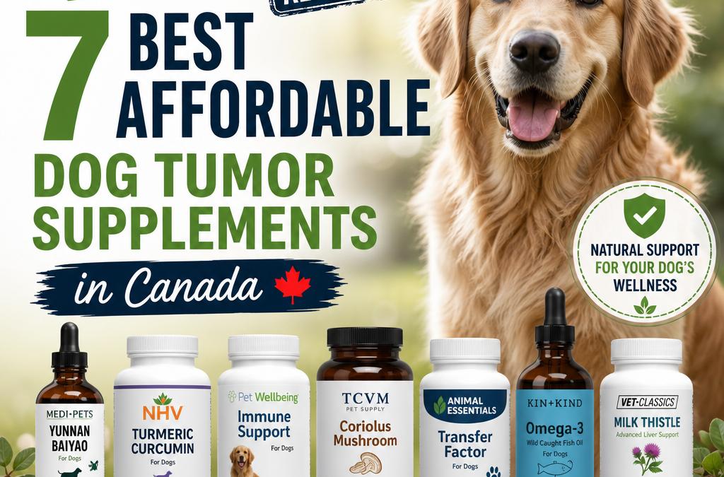 NHV ES Clear Alternative: 7 Best Affordable Dog Tumor Supplements in Canada