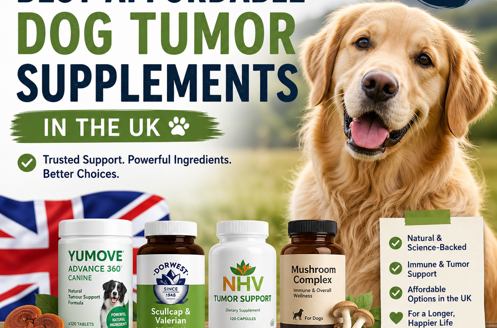 Illustration of Ocoxin Pets Alternative: Best Affordable Dog Tumor Supplements in the UK