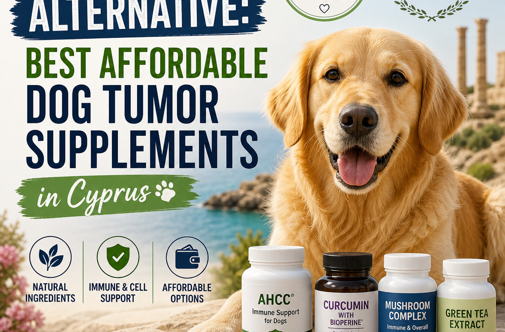 Alternativa Ocoxin Pets: 7 suplementos acessíveis para tumores em cães no Chipre