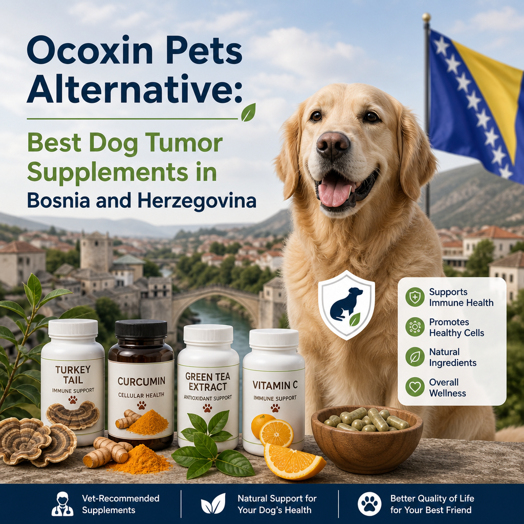 Ocoxin Pets alternative: 7 Best Options for Dogs in Bosnia and Herzegovina 2 ilustração da alternativa Ocoxin Pets