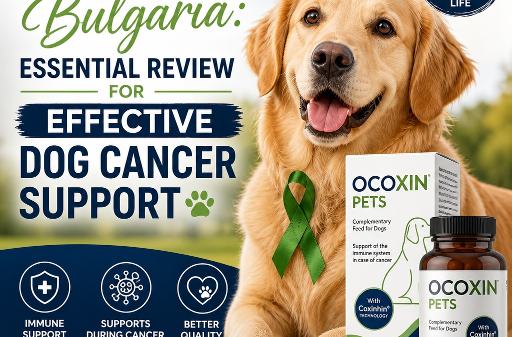 Ocoxin Pets Bulgária: 7 Fatos Essenciais para um Suporte Eficaz ao Câncer em Cães