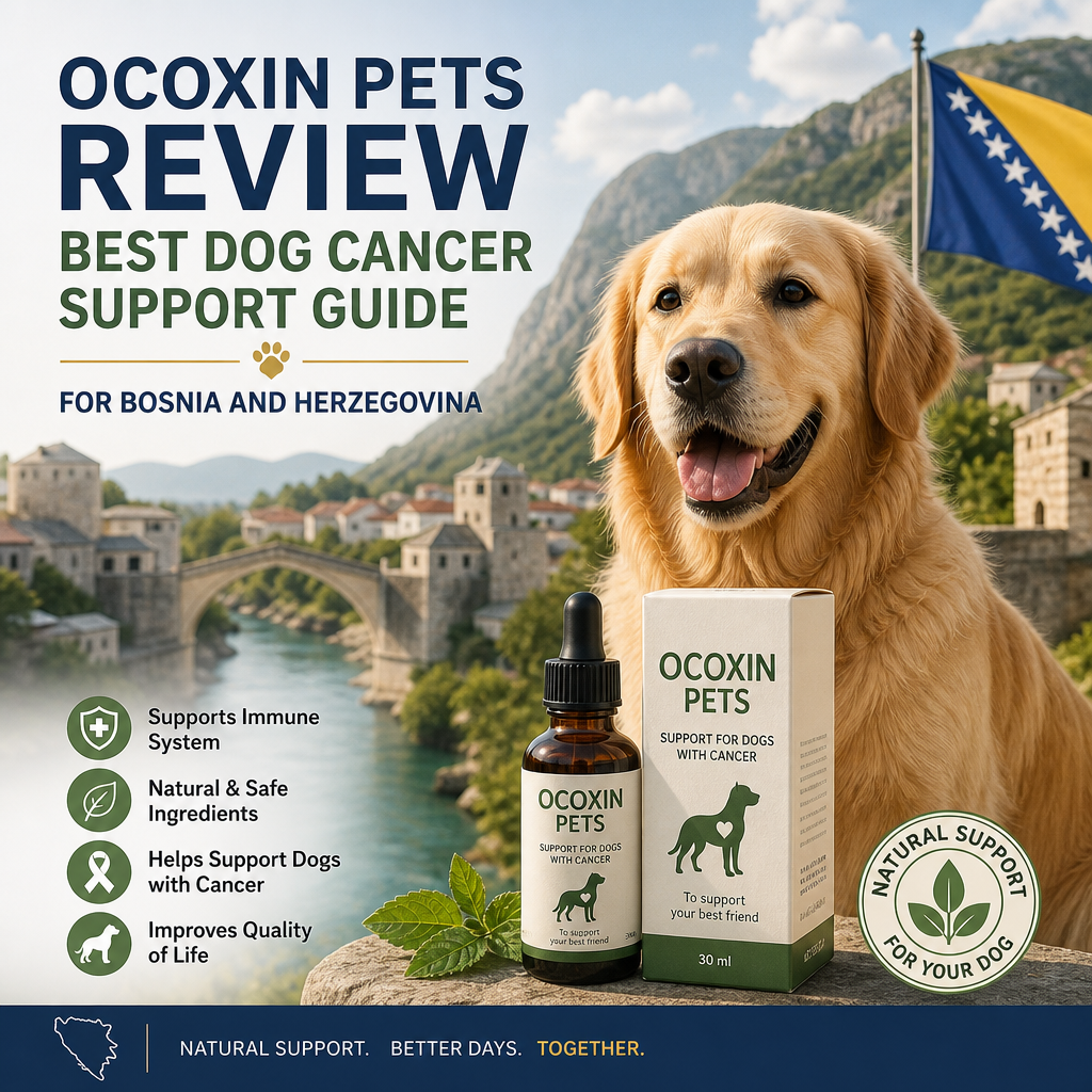 Ocoxin Pets Review: 5 Powerful and Positive Things to Know About Dog Cancer Support in Bosnia and Herzegovina 5 Ilustração do Ocoxin Pets