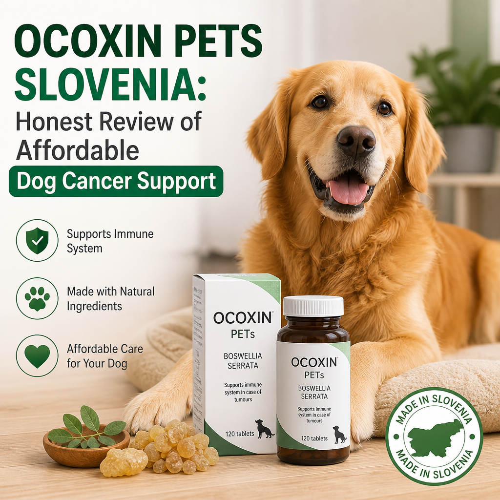 Ocoxin Pets Slovenia: 5 Powerful Reasons to Consider Affordable Dog Cancer Support 5 Ilustração do Ocoxin Pets