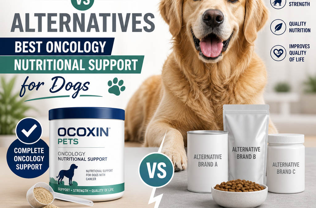 Ocoxin Pets vs Alternativas: 5 Melhores Opções de Suporte Nutricional Oncológico para Cães