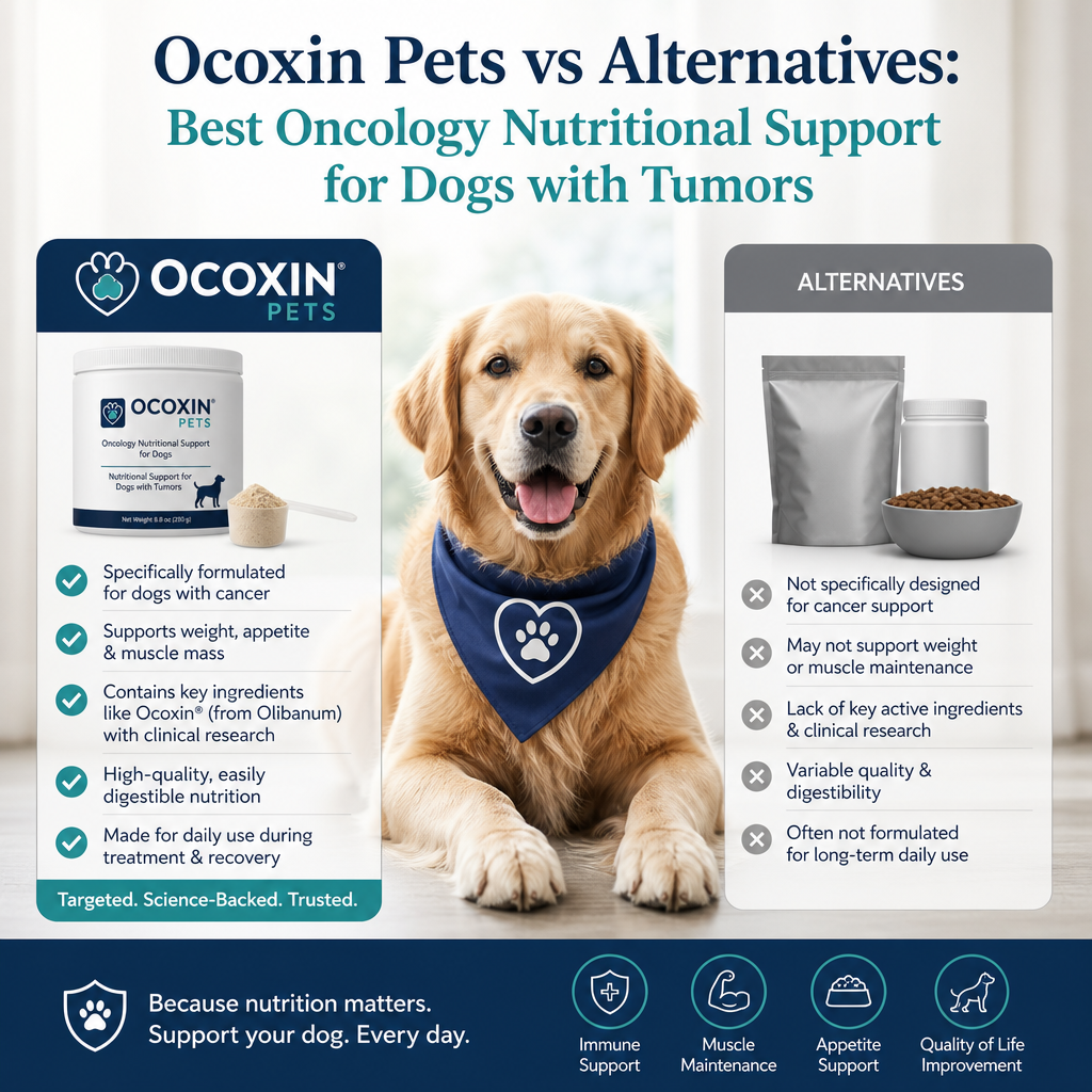 Ilustração de Ocoxin Pets vs alternativas