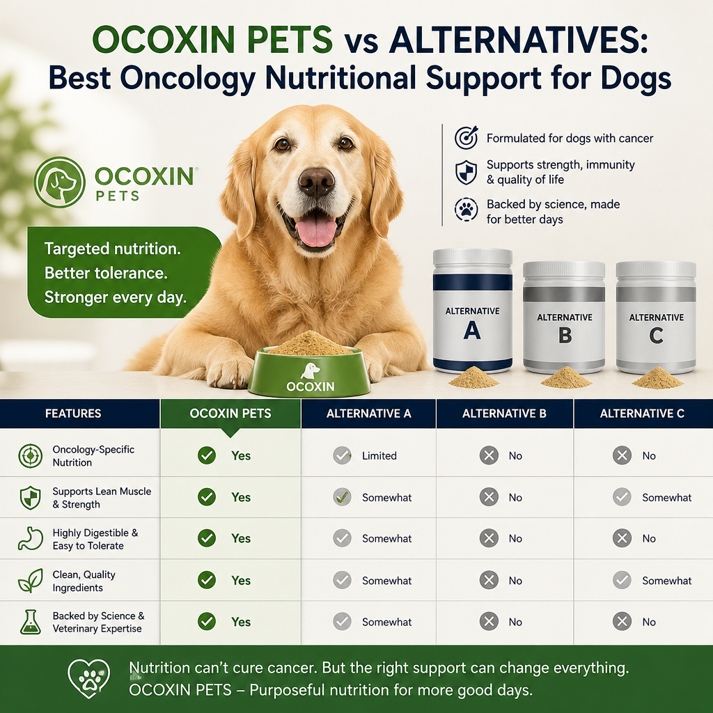 Ocoxin Pets vs alternatives: 7 Best Oncology Nutritional Support Options for Dogs 4 Ilustração de Ocoxin Pets vs alternativas