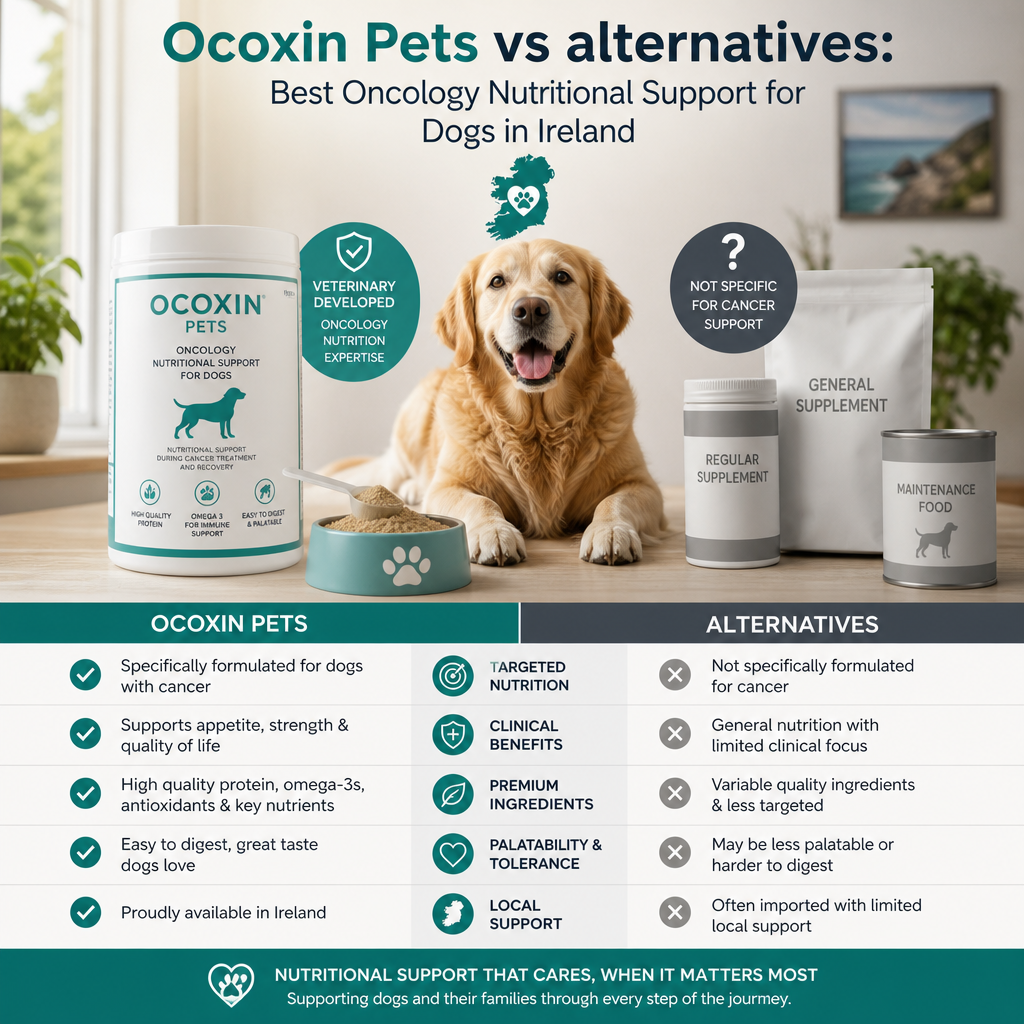 Ocoxin Pets vs alternatives: 7 Best Oncology Nutritional Support Options for Dogs in Ireland 2 Ilustração de Ocoxin Pets vs alternativas