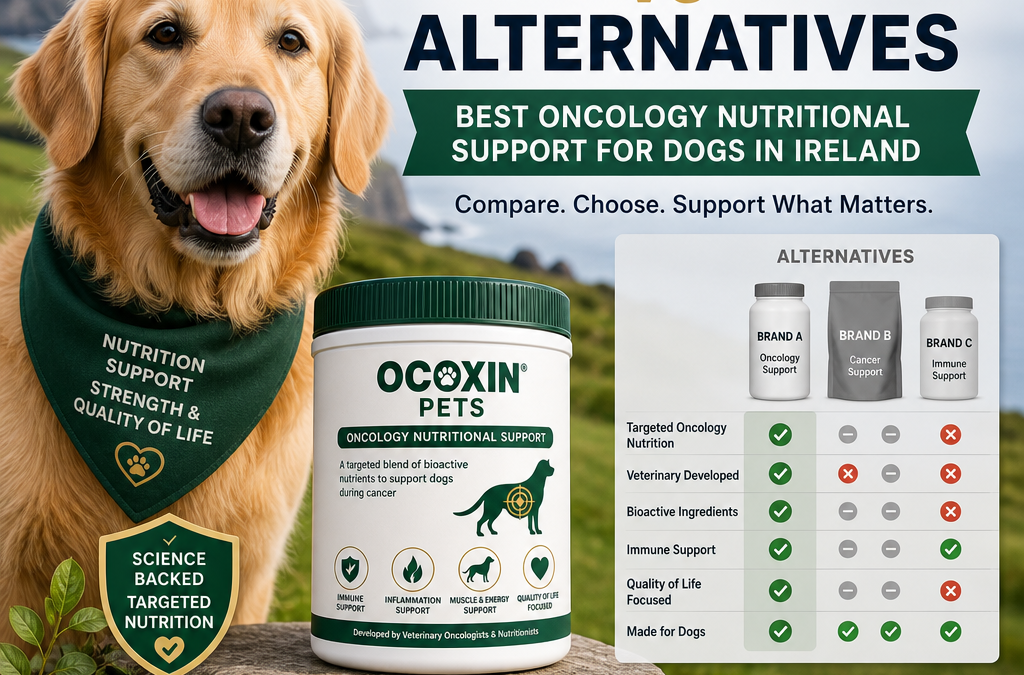 Ocoxin Pets vs alternatives: 7 Best Oncology Nutritional Support Options for Dogs in Ireland