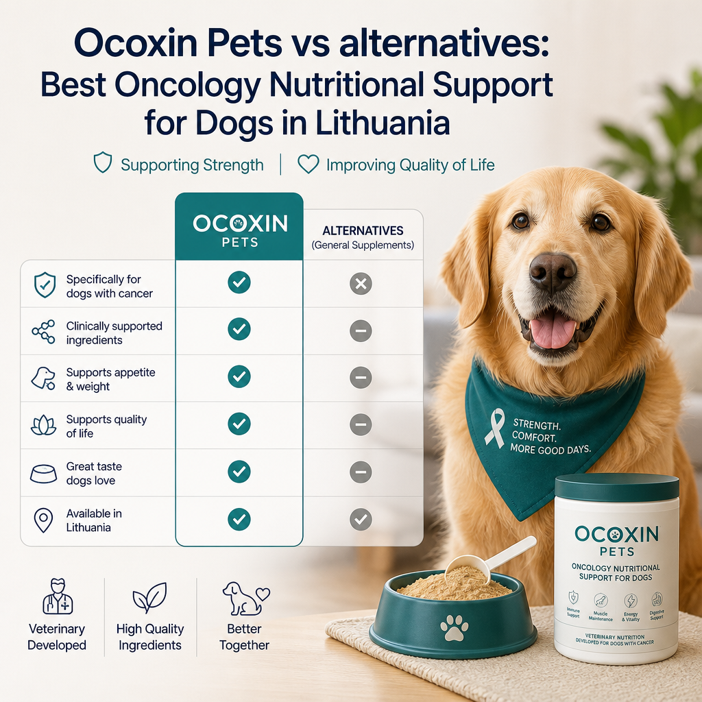 Ocoxin Pets vs alternatives: 5 Best Oncology Nutritional Support Options for Dogs in Lithuania 6 Ilustração de Ocoxin Pets vs alternativas