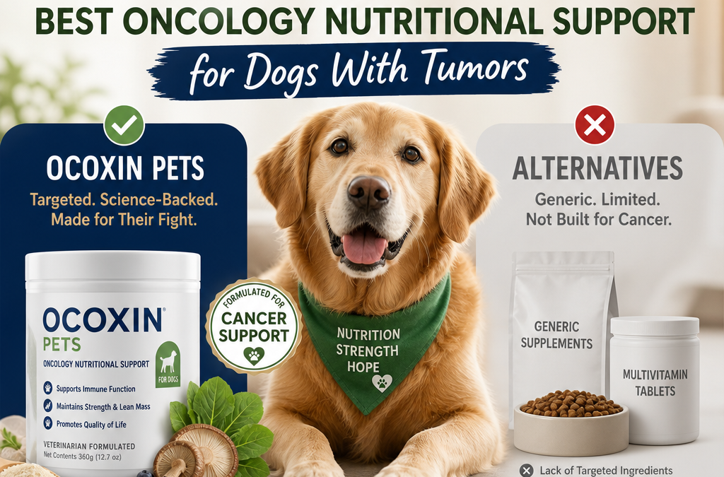 Ocoxin Pets vs Alternatives: 5 Best Oncology Nutritional Support Options for Dogs With Tumors