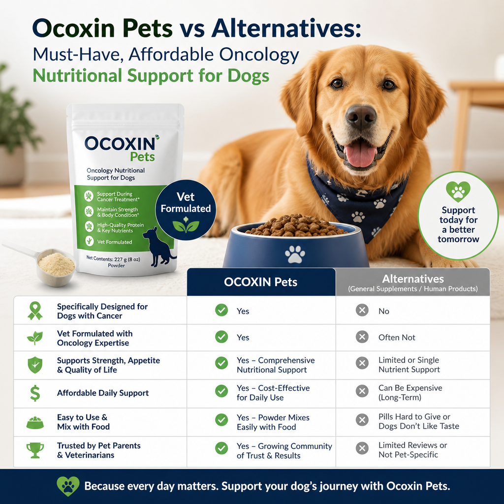 Ocoxin Pets vs Alternatives: 5 Powerful, Affordable Oncology Nutritional Support Options for Dogs 2 Ilustração de Ocoxin Pets vs alternativas