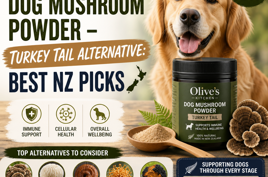 Illustration of Olive's Kitchen Dog Mushroom Powder – Turkey Tail Alternative: Best NZ Picks